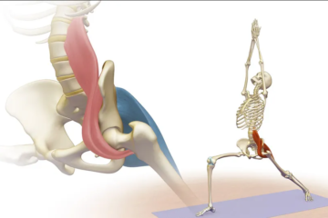 Release The Psoas – 08-24-2024